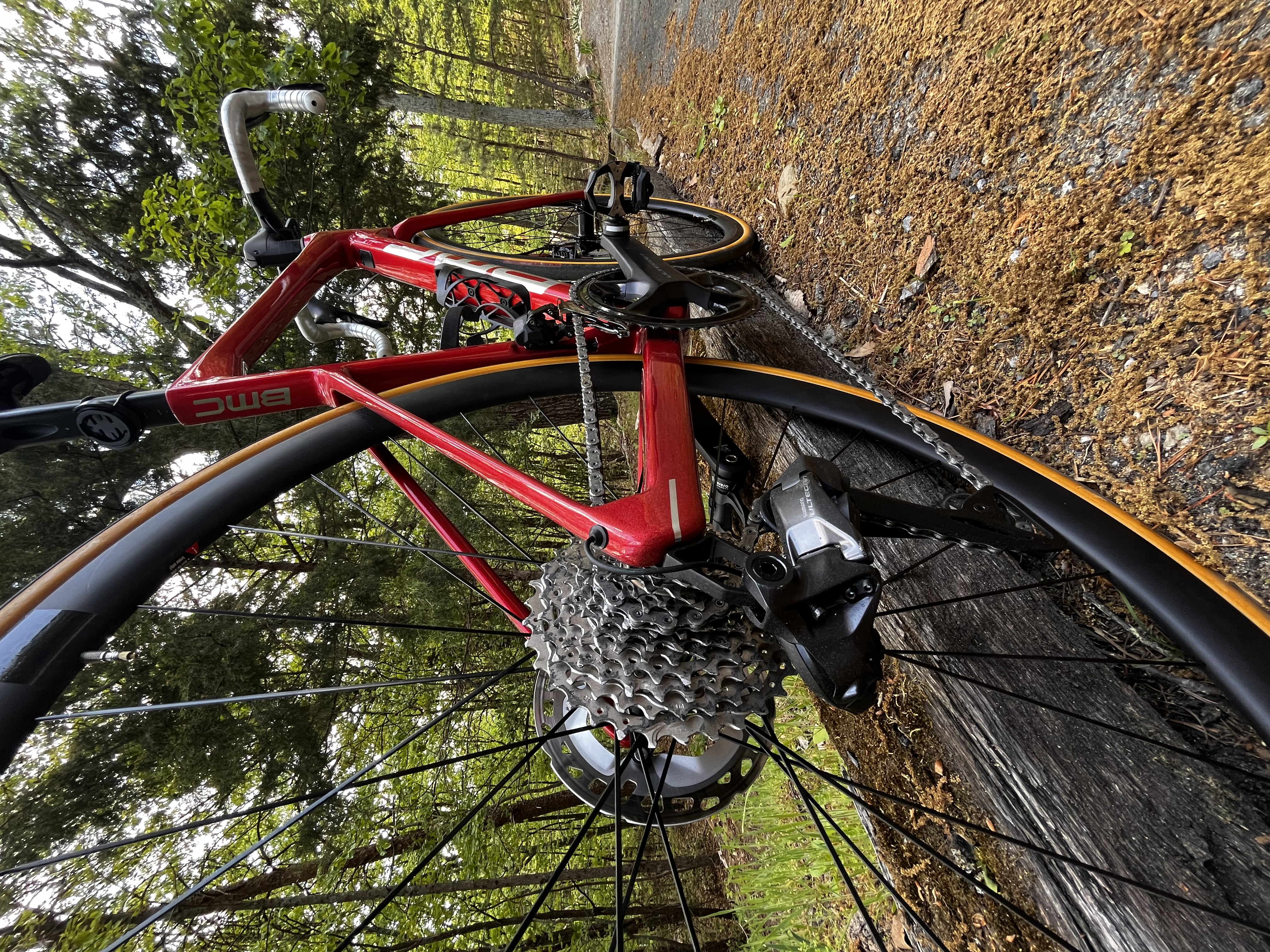 Chaîne de vélo cirée